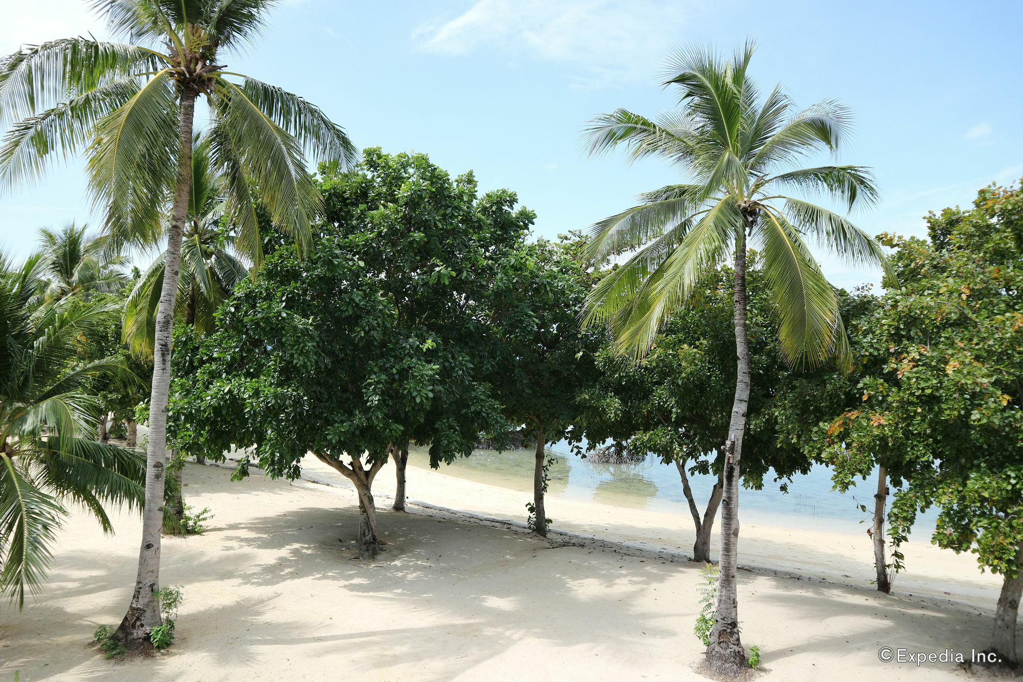 Dos Palmas Island Resort & Spa Puerto Princesa ภายนอก รูปภาพ